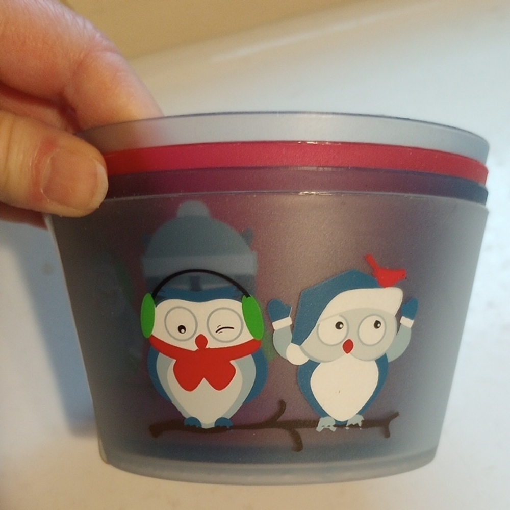 NEW Colorful Essential Home Winter Owl Kids Bowls 4 Piece Set